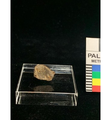 Lithic meteorite - NWA ordinary chondrite