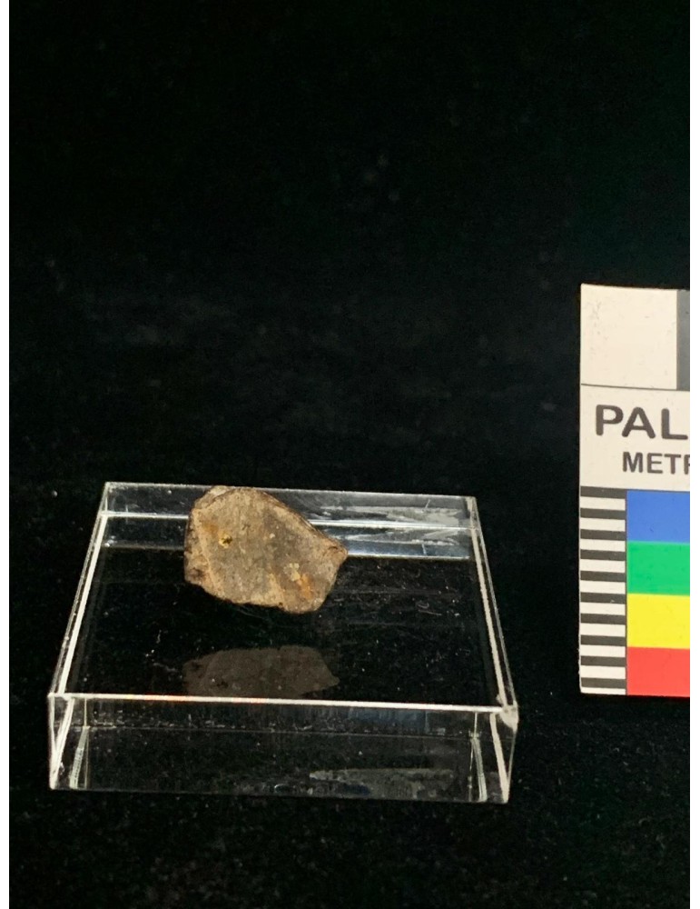 Lithic meteorite - NWA ordinary chondrite