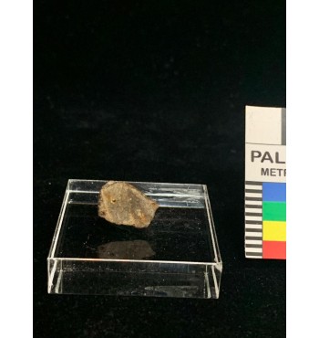 Lithic meteorite - NWA ordinary chondrite