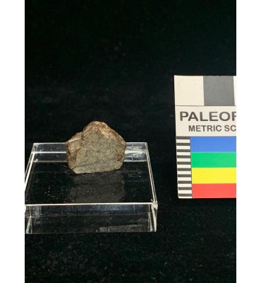 Lithic meteorite - NWA ordinary chondrite