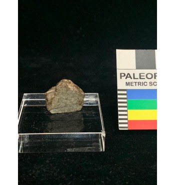 Meteorite litica - Condrite ordinaria NWA 6,8 gr