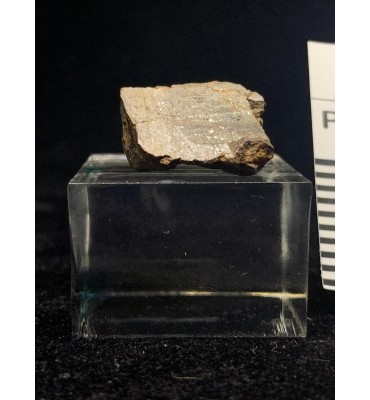 Lithic meteorite - NWA ordinary chondrite