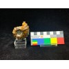 Ammonite in agata...