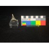 Carcharodon hastalis...