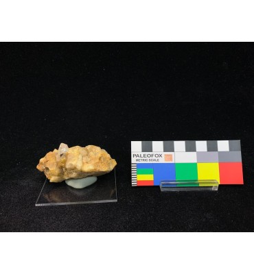 Quartz Crystal on Matrix —...