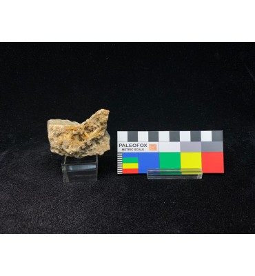 Quarzo Ematoide — Cristalli su Matrice | Procchio, Isola d'Elba (Italy)