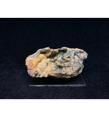 Botryoidal Ochre GOETHITE —...