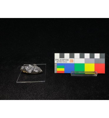 Iridescent GOETHITE — Cavo...