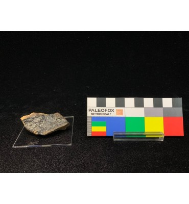 GOETHITE iridescente —...