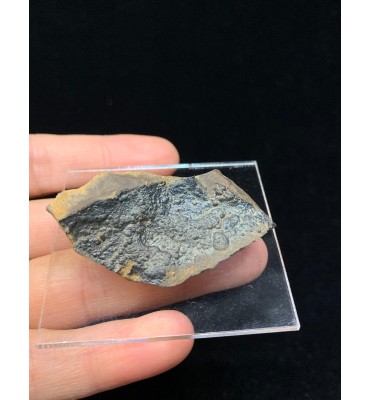 GOETHITE iridescente — Miniera del Cavo, Isola d'Elba, Toscana, Italia MIN-00085