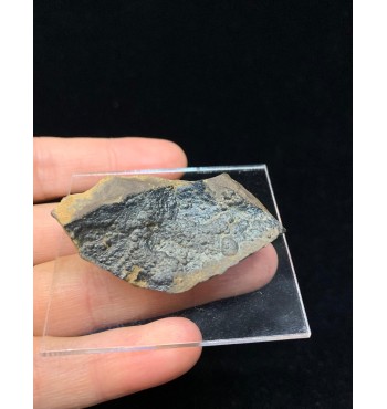 GOETHITE iridescente — Miniera del Cavo, Isola d'Elba, Toscana, Italia MIN-00085