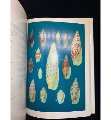 Shells of Queensland and...