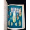 Shells of Queensland and...