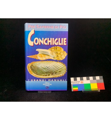 Conchiglie - Manuale  Orsa Maggiore editrice - 1997