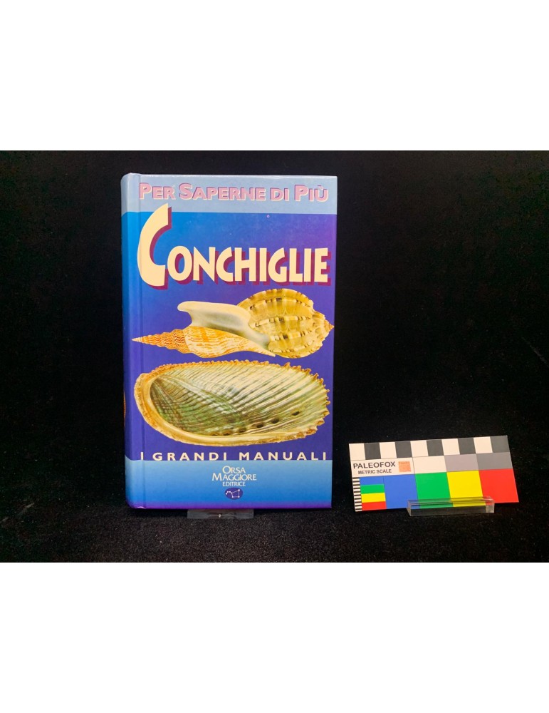 CONCHIGLIE Bruno Sabelli, 1997, Orsa Maggiore Editrice