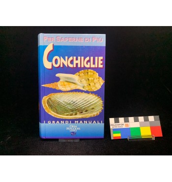 CONCHIGLIE Bruno Sabelli, 1997, Orsa Maggiore Editrice