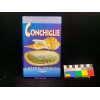 Conchiglie - Manuale  Orsa Maggiore editrice - 1997