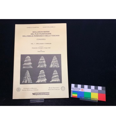 Molluschi marini del Plio-Pleistocene dell'Emilia-Romagna e della Toscana. Conoidea. Volume 1 - Drilliidae e Turridae