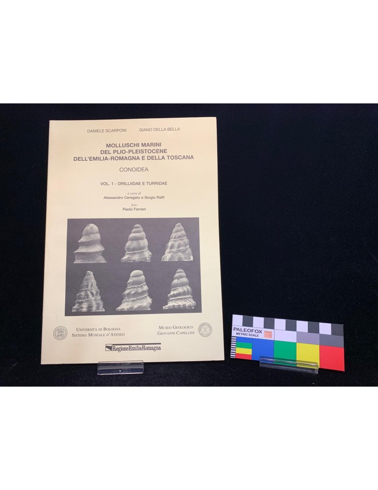 Molluschi marini del Plio-Pleistocene dell'Emilia-Romagna e della Toscana. Conoidea. Volume 1 - Drilliidae e Turridae