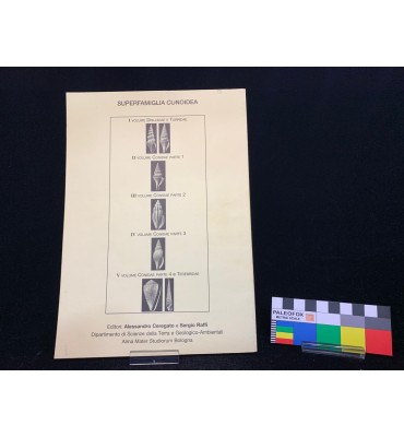 Molluschi marini del...