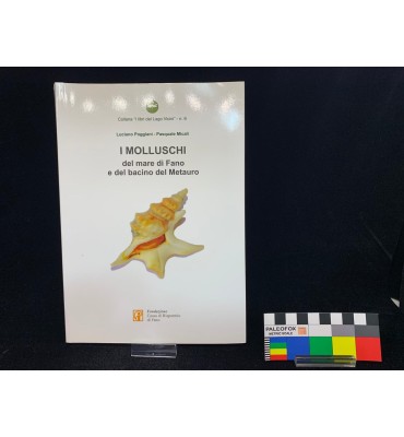 I Molluschi del Mare di Fano e del Bacino del Metauro - 2018