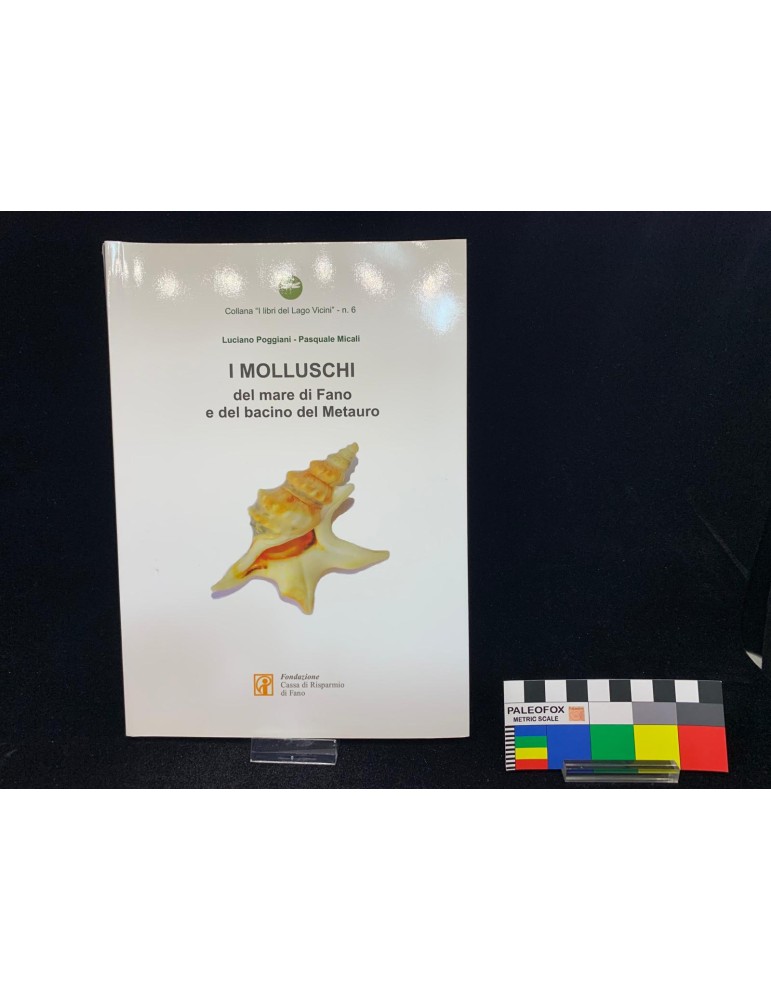 I Molluschi del Mare di Fano e del Bacino del Metauro - 2018