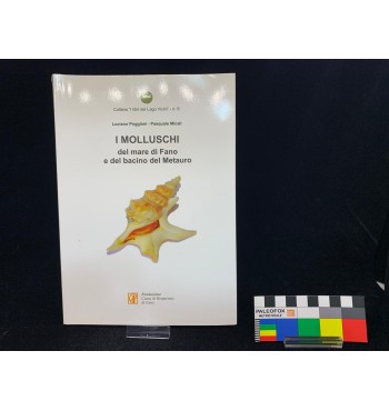 I Molluschi del Mare di Fano e del Bacino del Metauro - 2018