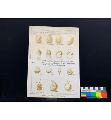 Bollettino della Società...