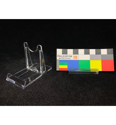 SP003 Supporto Espositore...