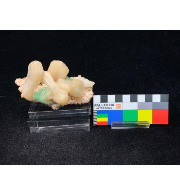 Apofillite-(KF) Verde con Stilbite Dorata su Matrice Basaltica
MIN-00086