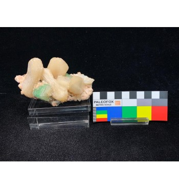 Apofillite-(KF) Verde con Stilbite Dorata su Matrice Basaltica
MIN-00086