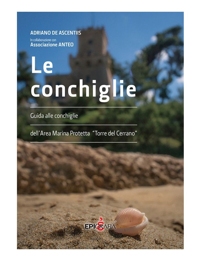 Le conchiglie. Guida alle conchiglie dell'area marina protetta "Torre del Cerrano"