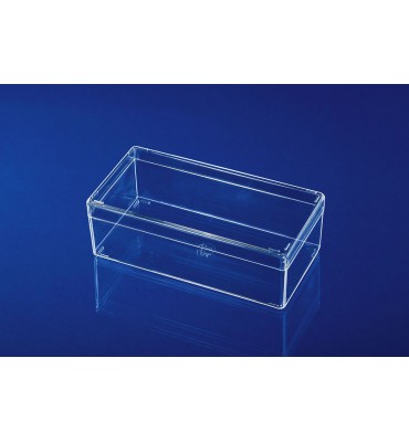 TR054 Scatola trasparente mm 120x60x40