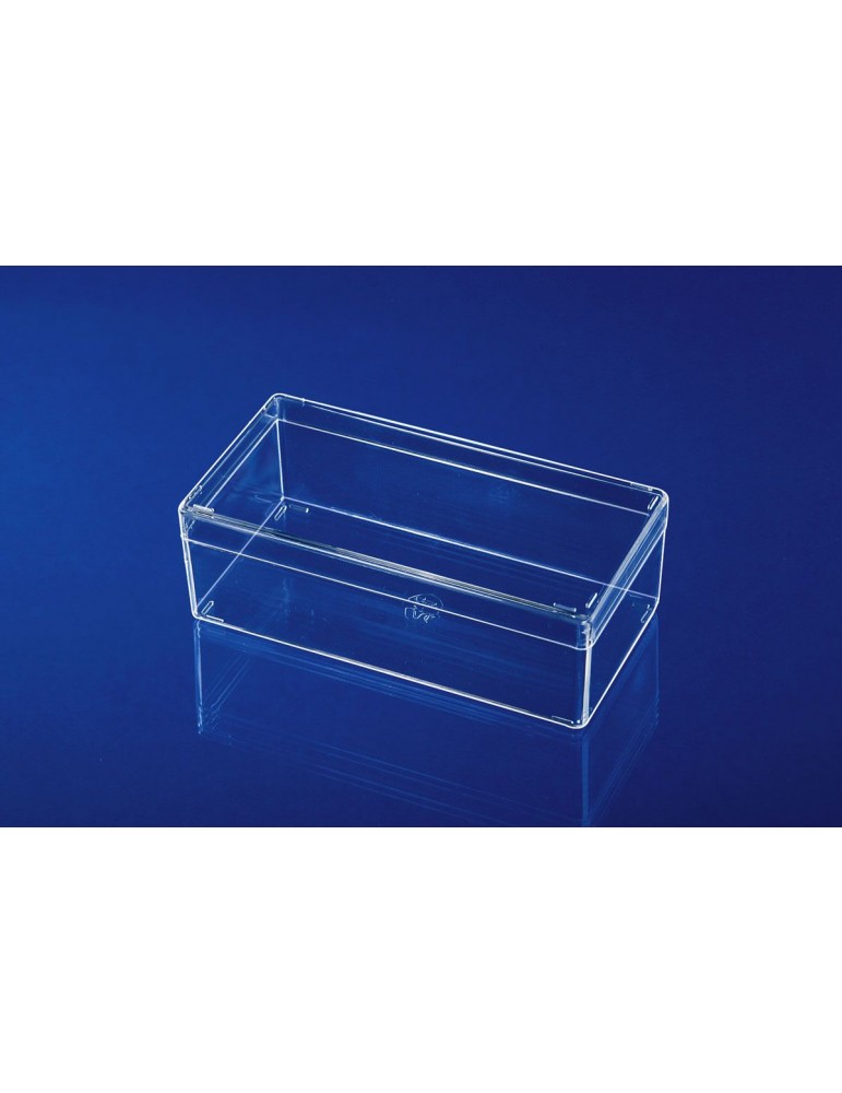 TR054 Scatola trasparente mm 120x60x40