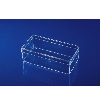 TR054 Scatola trasparente mm 120x60x40