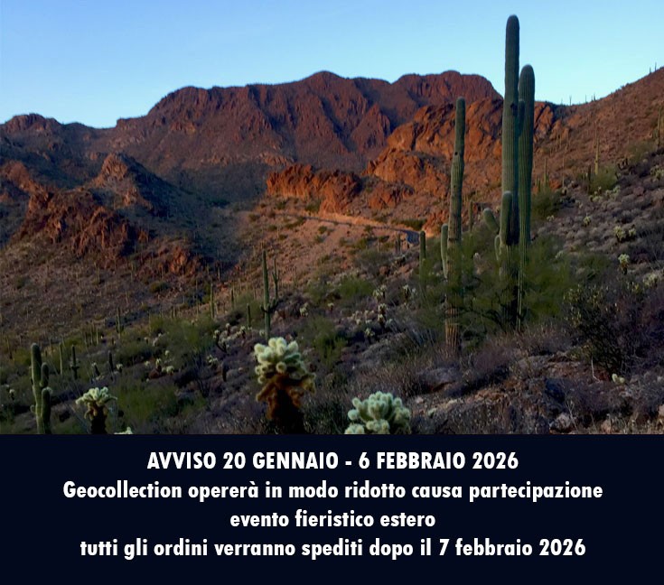 AVVISO 20 GENNAIO - 6 FEBBRAIO 2026