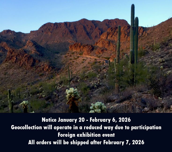 Notice January 20 - February 6, 2026