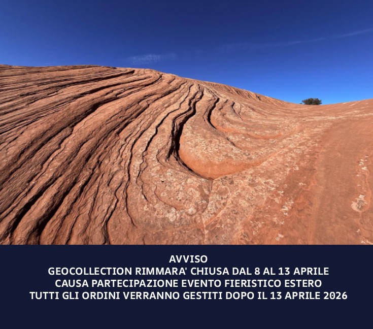 AVVISO GEOCOLLECTION RIMARRÀ' CHIUSA DAL 8 AL 13 APRILE CAUSA PARTECIPAZIONE EVENTO FIERISTICO ESTERO TUTTI GLI ORDINI VERRANNO GESTITI DOPO IL 13 APRILE 2026